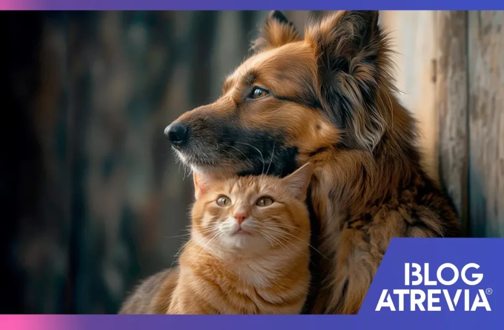 cómo llevar el control antiparasitario de tus mascotas
