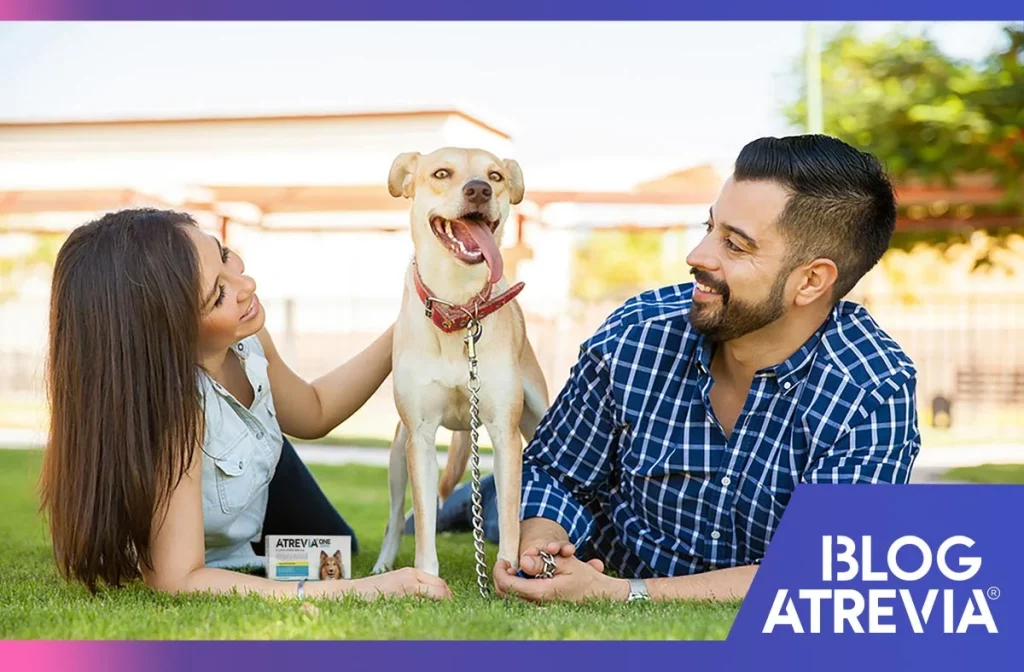como atrevia protege a tu mascota