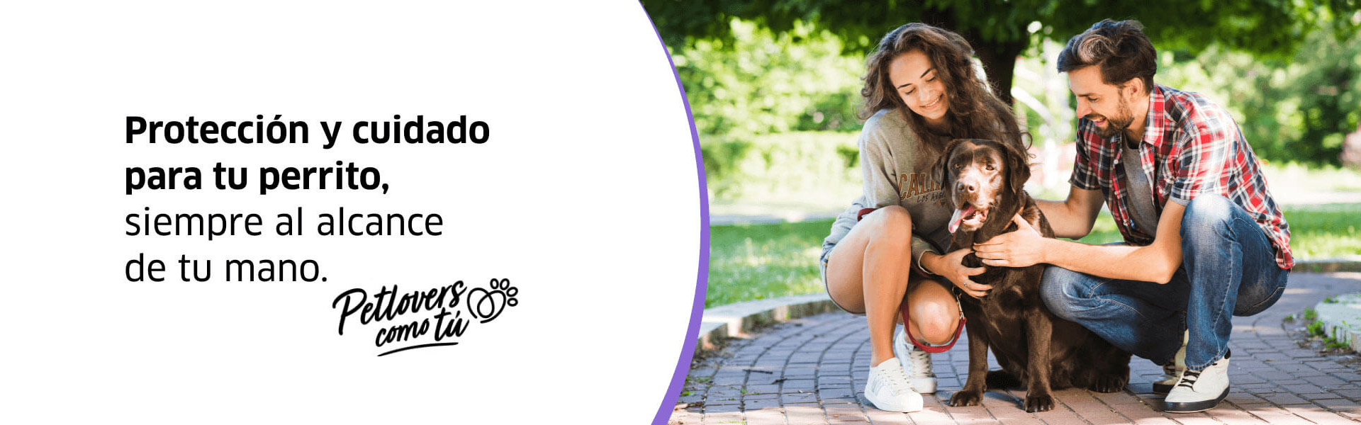 Dónde encontrar Atrevia distribuidores oficiales en Colombia